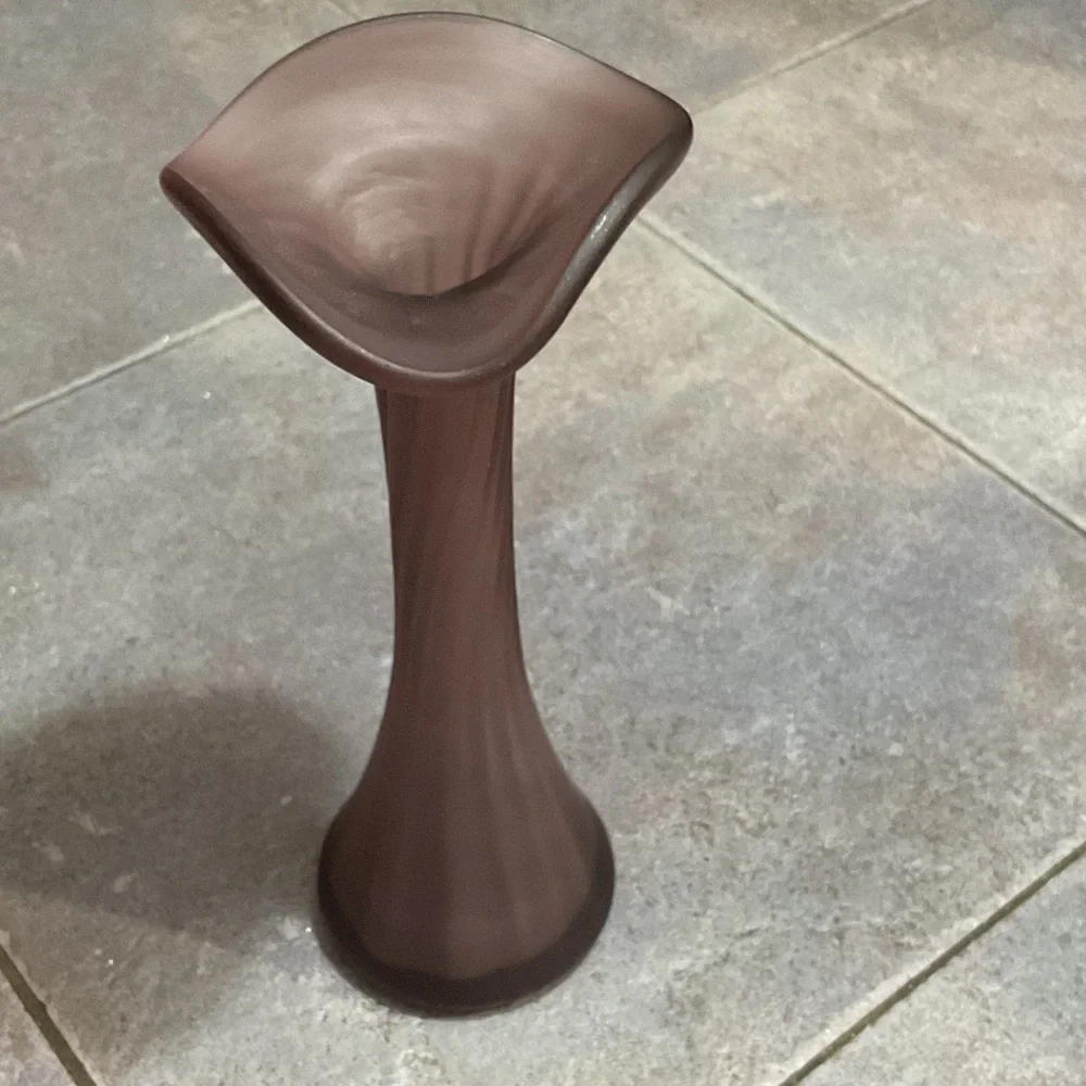 Elegant Purple glass vase